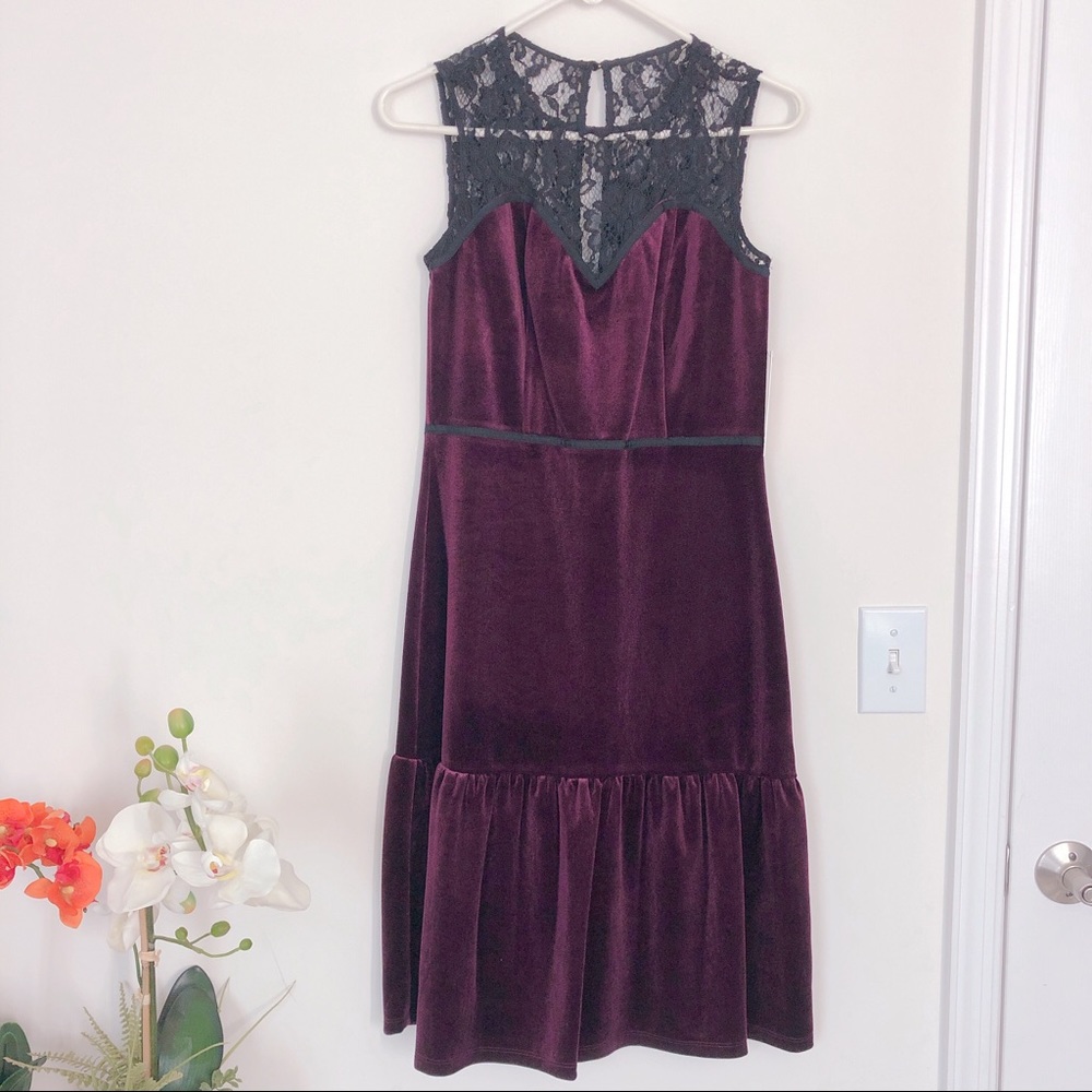NANETTE nanette lepore Lace Yoke Velour Dress - Picture 3 of 6